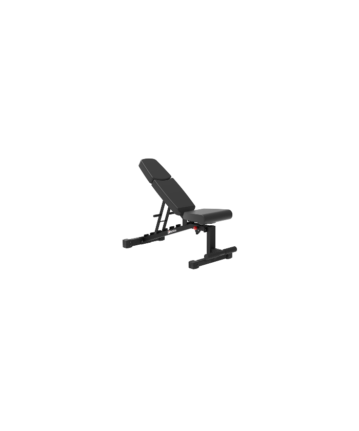 BANC MULTI REGLABLE DISPORTEX PRO