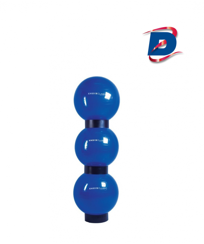 ANNEAU DE RANGEMENT PREMIUM POUR GYM BALL