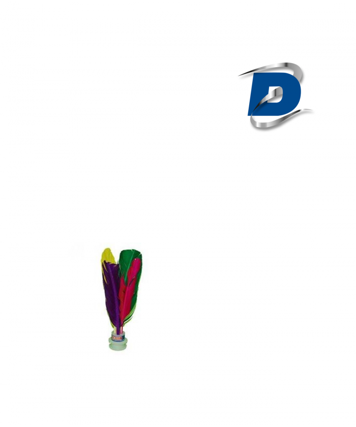 PETECA (LOT DE 6)