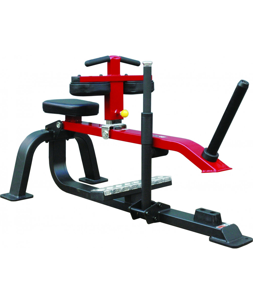 calf raise