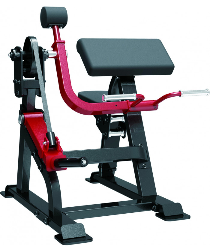BANC BICEPS CURL
