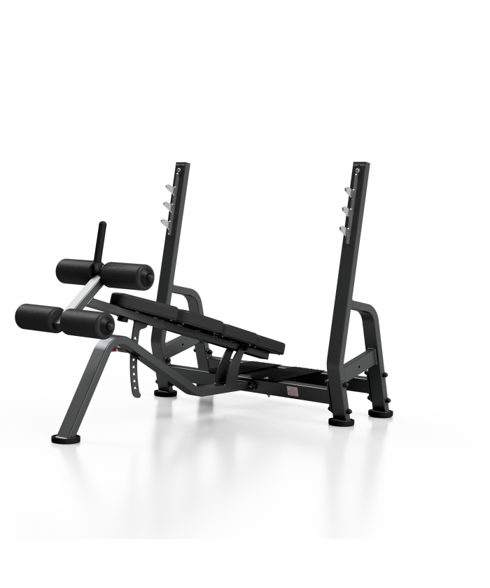 BANC DEVELOPPE COUCHE DECLINE PROFESSIONNEL DISPORTEX PRO