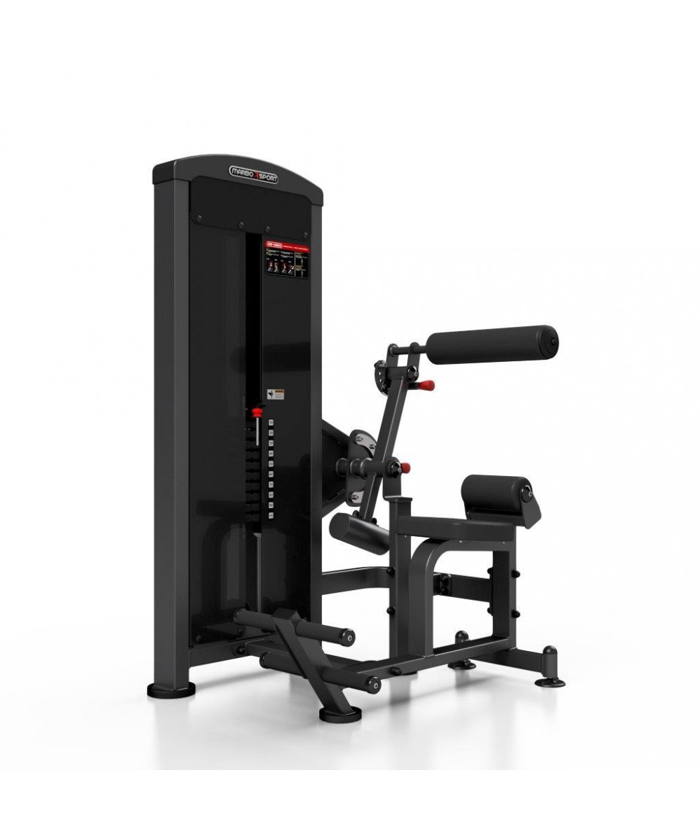 BACK EXTENTION - MACHINE A LOMBAIRES 