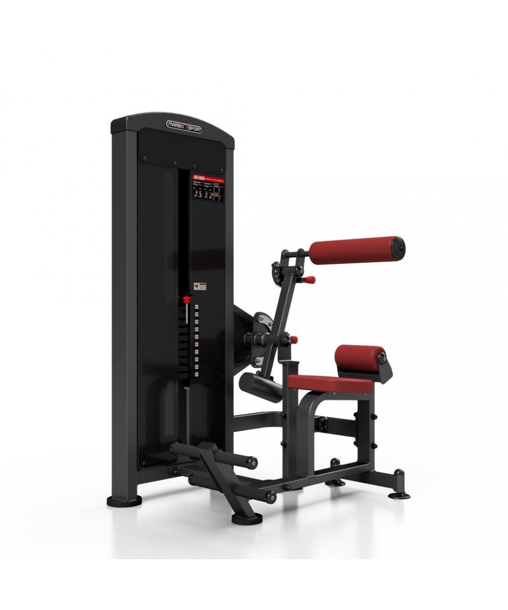 BACK EXTENTION - MACHINE A LOMBAIRES 