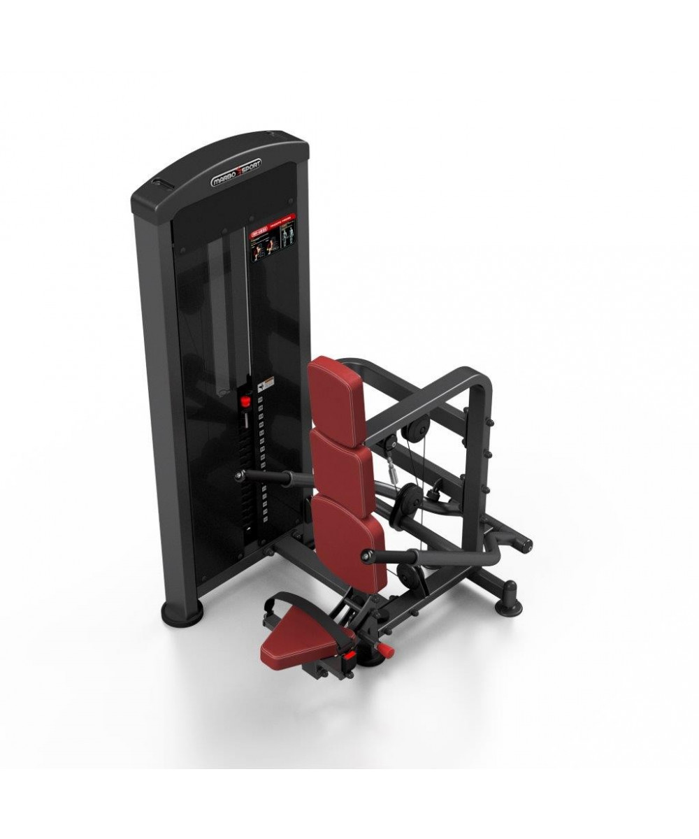 DIPS ASSIS CHARGE GUIDEE 