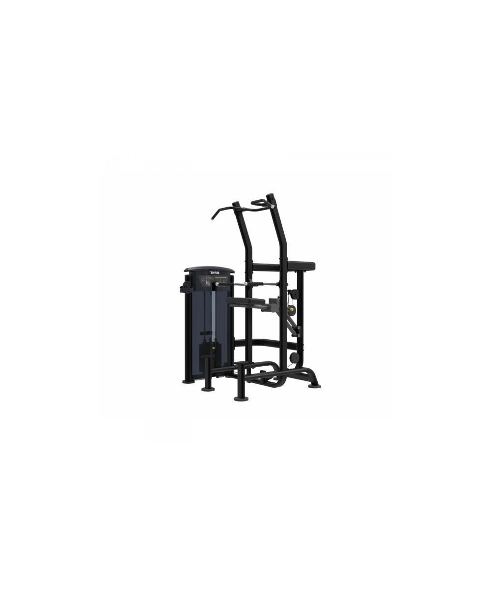 CHAISE ROMAINE A CONTREPOIDS - CHIN DIP DISPORTEX PRO