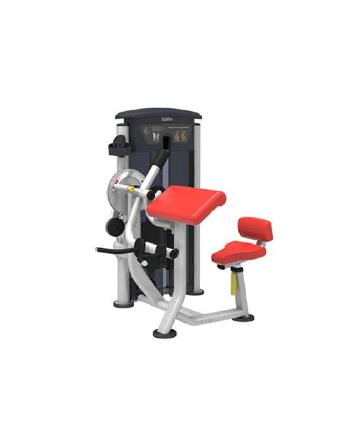 BANC A BICEPS - ARM CURL LARRY SCOTT DISPORTEX PRO
