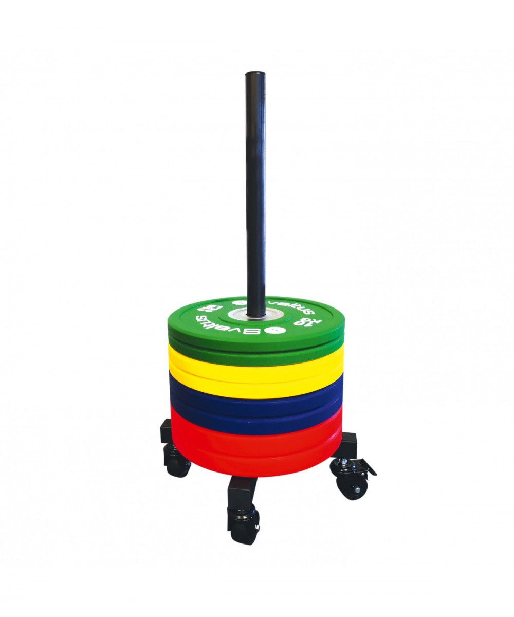 SUPPORT VERTICAL MOBILE POUR DISQUES 50MM