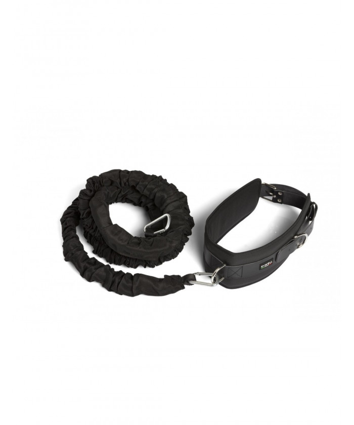 KIT SPEED RESISTOR KWELL