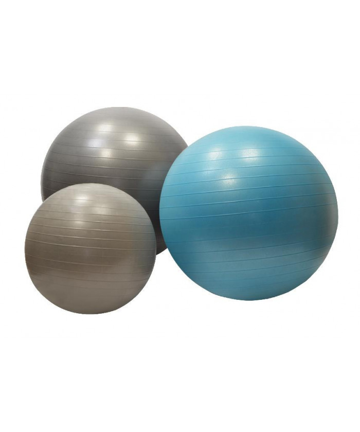 ballon de gymnastique DISPORTEX
