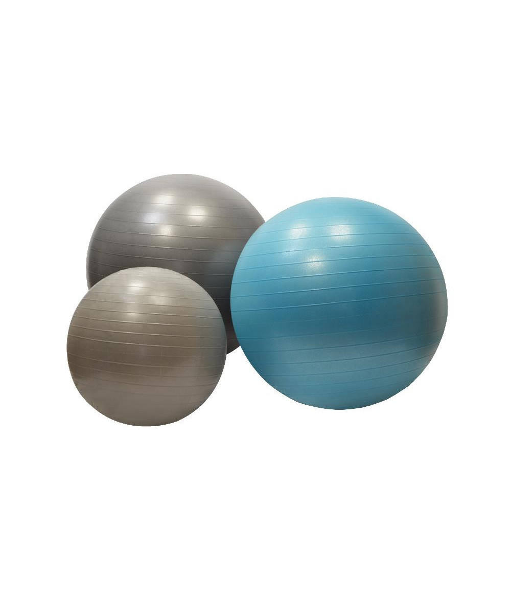 ballon de gymnastique DISPORTEX