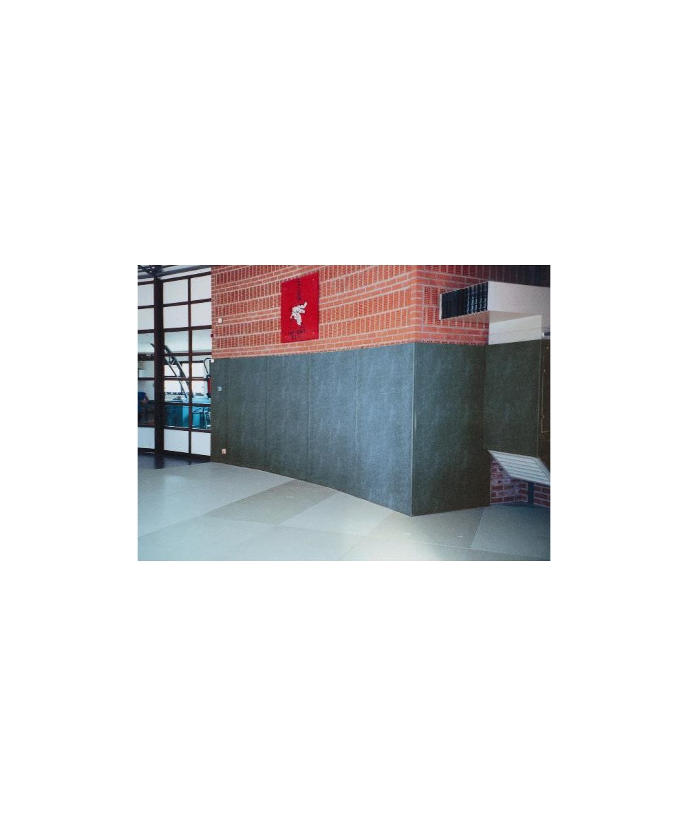 PROTECTION MURALE 200x100x2.5 CM