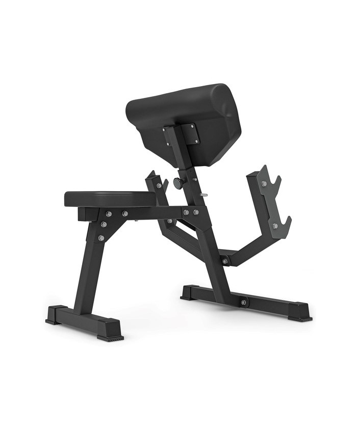 preacher curl