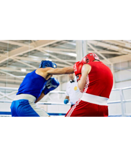 Boxe Anglaise