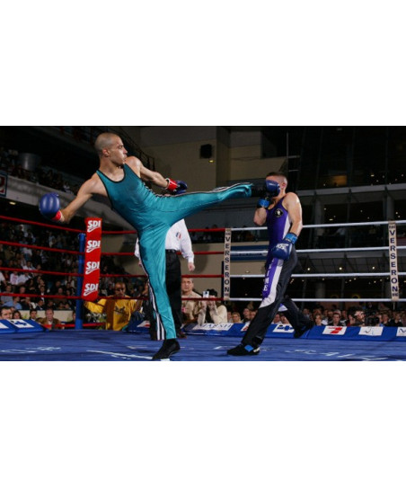 Boxe Française