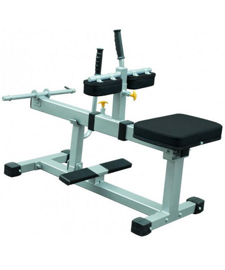 Machines Musculation Gamme Club pour Entraînements Libres avec Poids