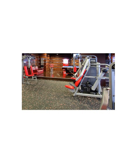Revêtements de sol conçu pour les gymnases, les centres de fitness..